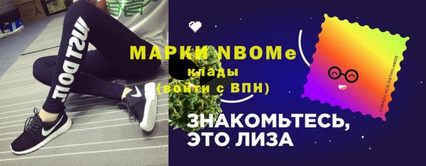 СК Алексин