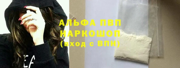 СК Алексин