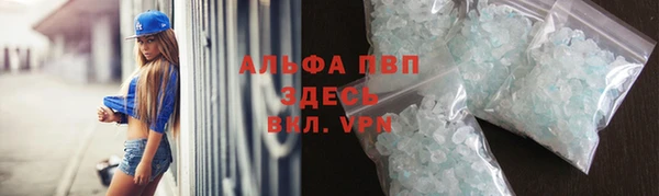 СК Алексин