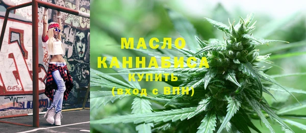 СК Алексин
