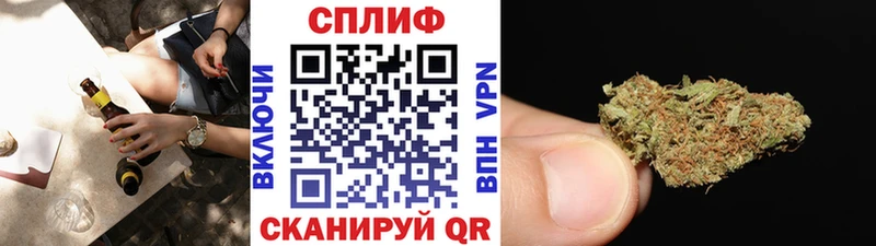 Бошки Шишки SATIVA & INDICA  где купить наркотик  Анапа 